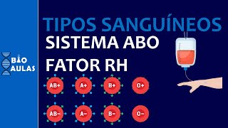 Tipos Sanguíneos  Sistema ABO e Fator Rh ImunoHematologia  Bio Aulas [upl. by Coucher]