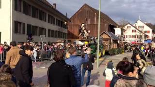 Bassersdorf Fasnacht 2017  Carnival at Bassersdorf [upl. by Ecirahs]