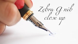 Zebra G nib close up Okeanas 7th video [upl. by Finbur]