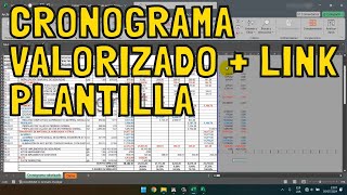 🏗️Como hacer un cronograma VALORIZADO de avance físico de obra en Project y Excel🧱 [upl. by Simsar410]