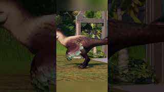 Releasing every carnivore in Jwe2 Pt 8 jwe2 jurassicworldevolution2 jurassicworld dinosaur [upl. by Emlyn]