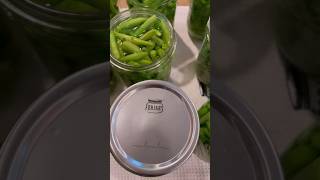 Beginners Canning Recipe Green Beans mountaingirlmakesit [upl. by Irrem]