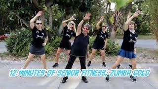 12 Minutes of Senior Dance Fitness Zumba Gold with Keep On Moving KOM [upl. by Ainedrag]