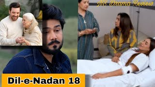 DileNadan Episode 18  Mikaal Zulfiqar  reviews 10th oct 2024NS Drama reviewsdilenadan [upl. by Berghoff930]