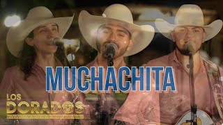 Los Dorados  Muchachita En Vivo [upl. by Yrhcaz]