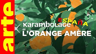 Lorange amère  Karambolage España  ARTE [upl. by Valli456]