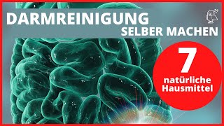 ✅DARMREINIGUNG SELBER MACHEN✅ 7 Hausmittel für eine natürliche Darmreinigung I Darmreinigung Kur [upl. by Anirbaz]