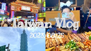 【vlog】台湾旅行2日目☀️台北101台湾シャンプー饒河街観光夜市台湾グルメ中正記念堂 [upl. by Zack]