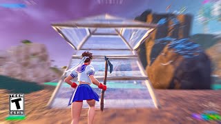 Fortnite RTX 4060 Ti 8GB  R5 5600X Low Settings  300 FPS [upl. by Yerrok]