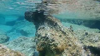 COMPILATION Amoopi Snorkeling Karpathos Diving Holiday [upl. by Aimil965]