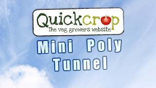 Mini Polytunnels For Vegetable Gardening [upl. by Kit537]