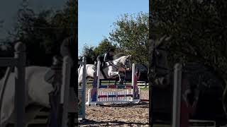 Baddiessss eventing jumping seamus [upl. by Main]