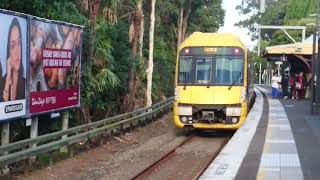 2 Waratahs at Artarmon [upl. by Alikee26]