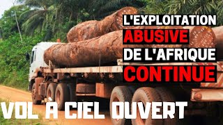 Lexploitation de lAfrique continue Cas de lhuile de Palme [upl. by Lorollas]