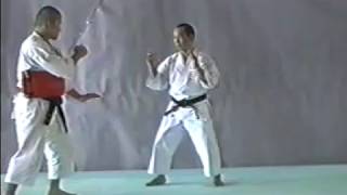 Shorinji Kempo Waza  GYAKU TEN SHIN GERI [upl. by Ynohtnaluap712]