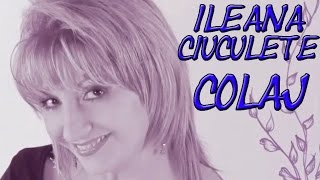 Ileana Ciuculete  Muzica De Petrecere COLAJ VIDEO 2014 [upl. by Rai316]