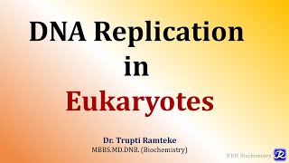 5 Replication in Eukaryotes  Molecular Biology Biochemistry  NJOY Biochemistry [upl. by Malda]