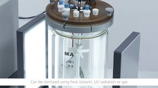 Growing algae made easy – The IKA Algaemaster 10 control [upl. by Kinnon]