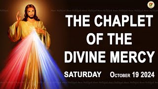 Chaplet of the Divine Mercy I Saturday October 19 2024 I Divine Mercy Prayer I 1200 PM [upl. by Nnelg709]