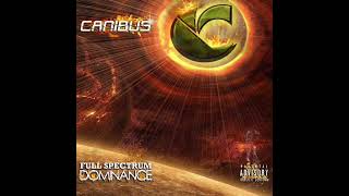 Canibus Anagram Phoenix INSTRUMENTAL [upl. by Mcspadden764]