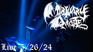 Mortuary Drape  Live 52624 [upl. by Anaujait]