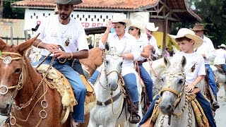 Cavalgada de São Benedito 2014 em Pindamonhangaba [upl. by Lemmueu]