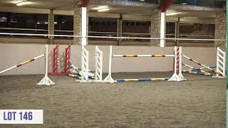 Performance Sale Cavan Equestrian Centre [upl. by Philips252]