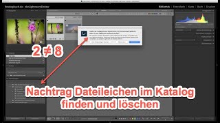 Lightroom Expertentipp  Nachtrag Dateileichen im Katalog finden und löschen [upl. by Chatwin]