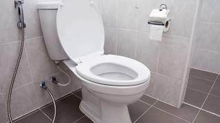 TOILET FLUSH  Sound Effect [upl. by Wilfred]