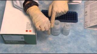 Isolate RNA with the PureLink™ RNA Mini Kit qPCR step 2 [upl. by Mal917]