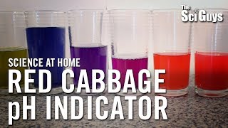 The Sci Guys Science at Home  SE2  EP4 Red Cabbage pH Indicator  Acid Base Indicator [upl. by Hadeehsar675]