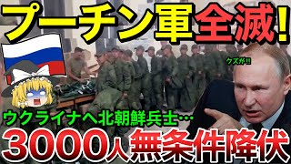 【ゆっくり解説】ロシア一瞬で裏切られプーチン軍全滅！北朝鮮兵3000人がウクライナに無条件降伏…！？【ゆっくり軍事プレス】 [upl. by Parrnell47]