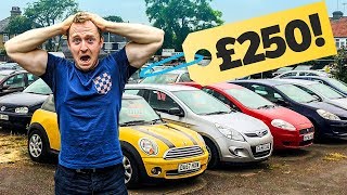 £250 Cheap Car Challenge [upl. by Nnagem427]