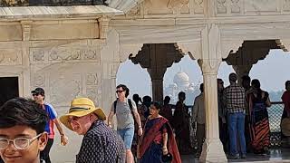 Ilusión óptica en el Fuerte de Agra viendo el Taj Mahal – sábado 2 de noviembre de 2024 [upl. by Beaston]