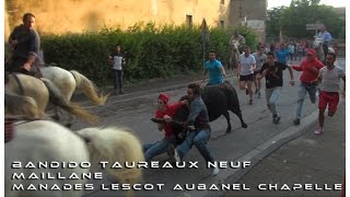 BANDIDO TAUREAUX NEUF MAILLANE 22072016 [upl. by Acimak]