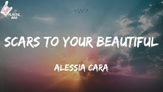 Alessia Cara  Scars To Your Beautiful TikTok No scars to your beautiful were stars and were be [upl. by Pega269]