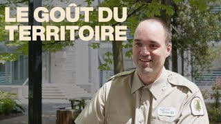 Comprendre la tordeuse des bourgeons d’épinette et les récoltes associées [upl. by Walt]