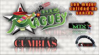 Banda maguey cumbias mix [upl. by Elleron]