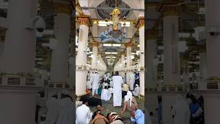 RiyazulJannah Masjid e Nabvi Madina islamicvideos islamicshorts ytviral ytshorts [upl. by Nhguavad]