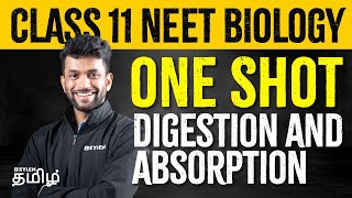 Class 11 NEET Biology  One Shot  Digestion and Absorption  Xylem NEET Tamil [upl. by Sheryl950]