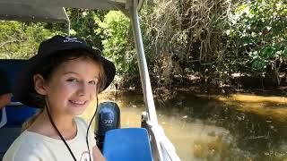 Daintree river crocodile cruise [upl. by Kondon]