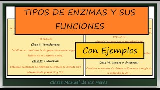 Clasificación y Nomenclatura de Enzimas Clases de Enzimas Biología Bachillerato [upl. by Xila]