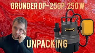 Grunder DP250P 250 W Unpacking Unboxing [upl. by Lieberman]