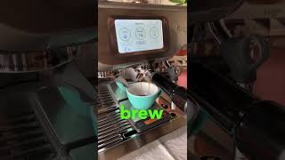 Breville Barista Touch  Dialing in espresso shorts [upl. by Savil]