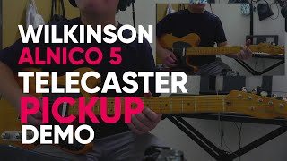 Partcaster Tele  Wilkinson WVT Alnico 5 Telecaster Pickup Demo [upl. by Johppah]