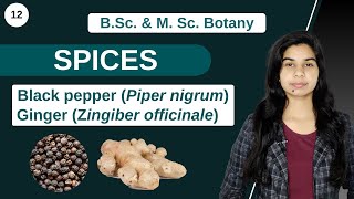 Economic Botany  SPICES  B Sc amp M Sc [upl. by Weinhardt]