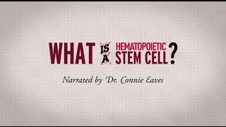 What is a hematopoietic stem cell Narrated by Dr Connie Eaves [upl. by Ytsur739]