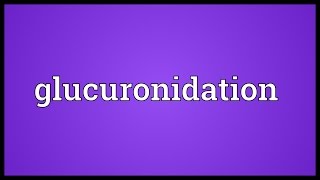 Glucuronidation Meaning [upl. by Rust]