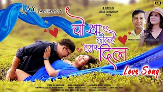 CHORYA LELHAI HAMAR DIL Annu Chaudhary Prakash Majhi  FtJay Chy amp Bandhana  New Tharu Song 2024 [upl. by Enirehtac]