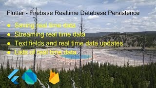 Flutter  Firebase Realtime Database Persistence [upl. by Dlanigger218]